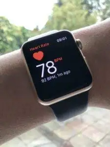 wrist heart rate monitor worn on the wrist