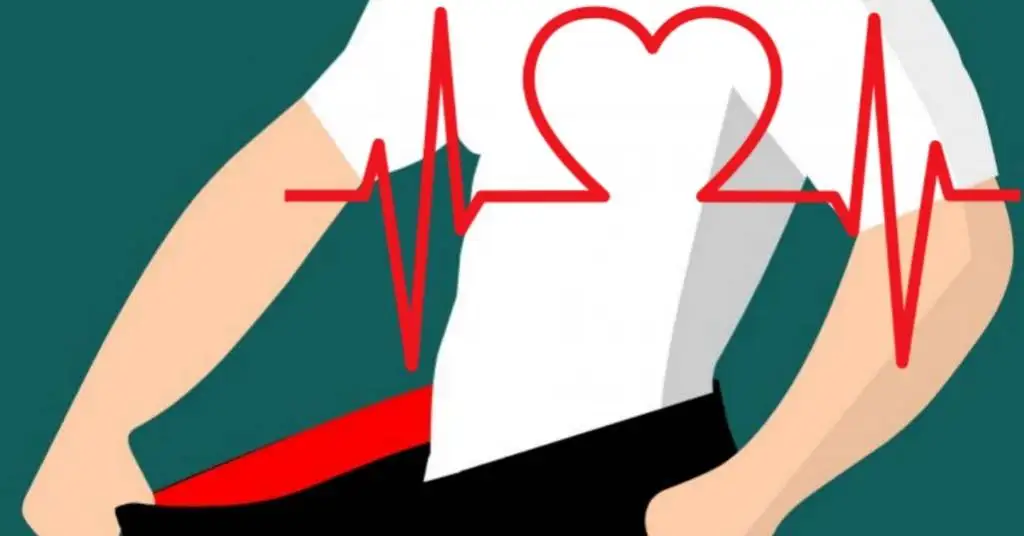 what is fat burn heart rate?