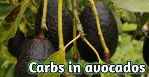 how many carb in avocado