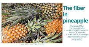 Fiber in pineapple