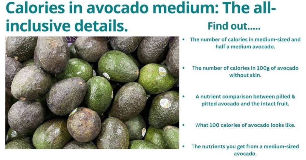 calories-in-avocado-medium-the-all-inclusive-details