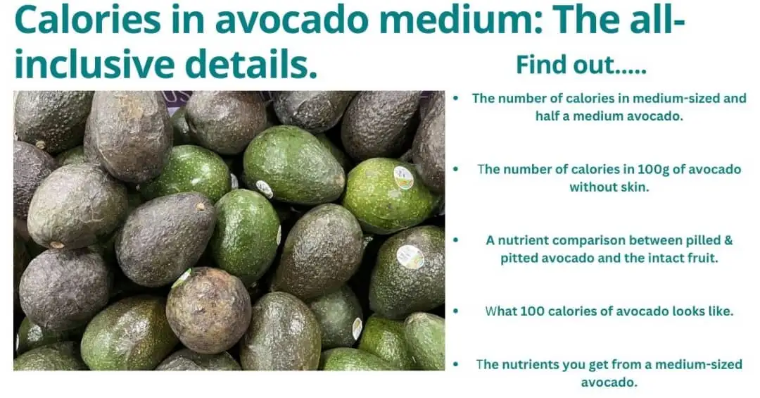Calories in a medium avocado. 1 Calories in avocado medium