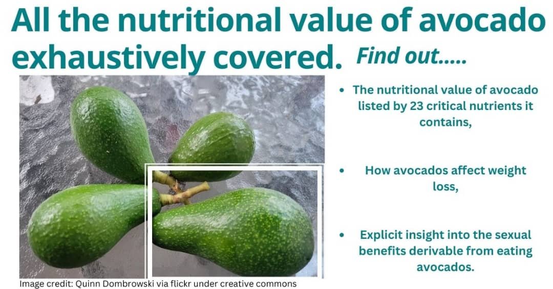 Nutritional value for avocado. different sizes of avocados placed side by side