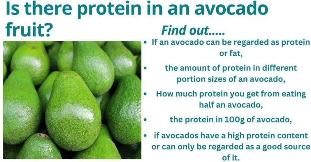 Is there protein in an avocado fruit?