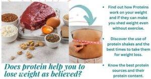 Does protein help you to lose weight? Plant and animal protein sources and an image of a trimmed waistline.