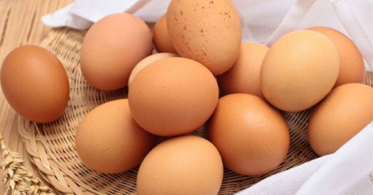 How much protein do eggs contain: A number of fresh eggs