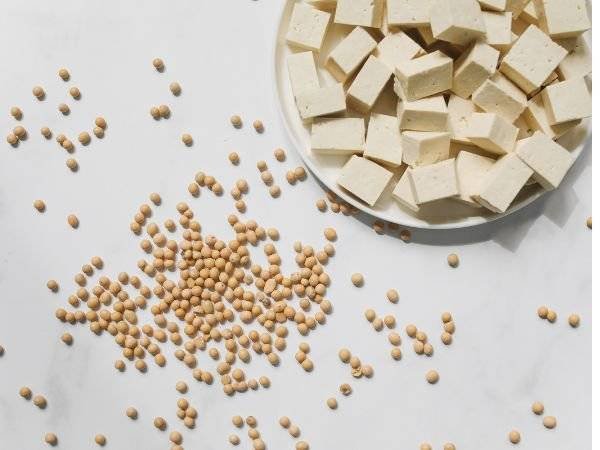 Raw soybeans beside a plate of freshly made Tofu.