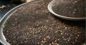 Do chia seeds help with weight loss. Raw Chia seeds spread out on trays.