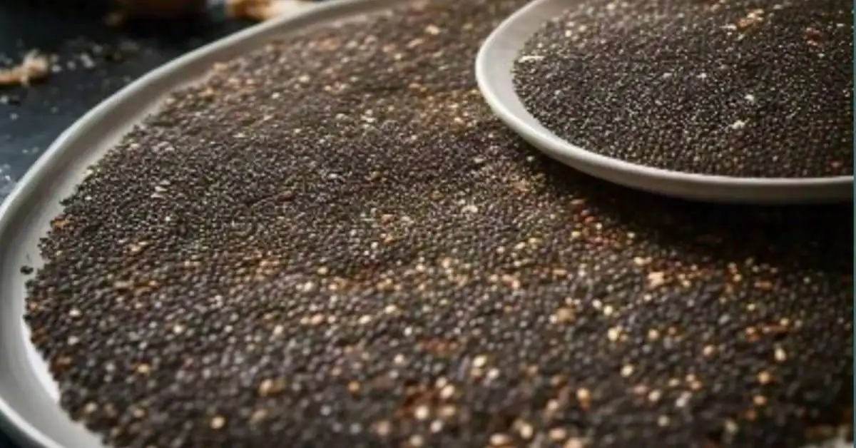 Do chia seeds help with weight loss. Raw Chia seeds spread out on trays.