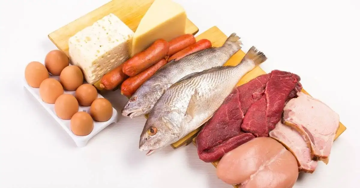 What is the best source of protein: Various plant and animal sources of protein.